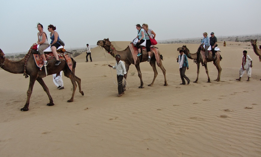 Manwar Camel Safari/Jeep Safari in the Thar Desert