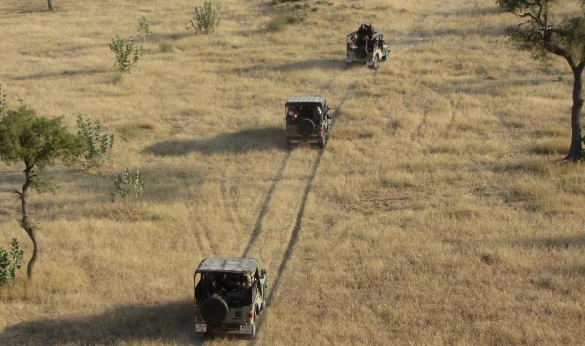 Desert Jeep Safari